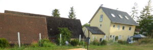 cropped-P1120385-scaled-1.jpg