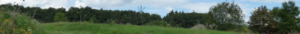 cropped-Unbenannt-1.png